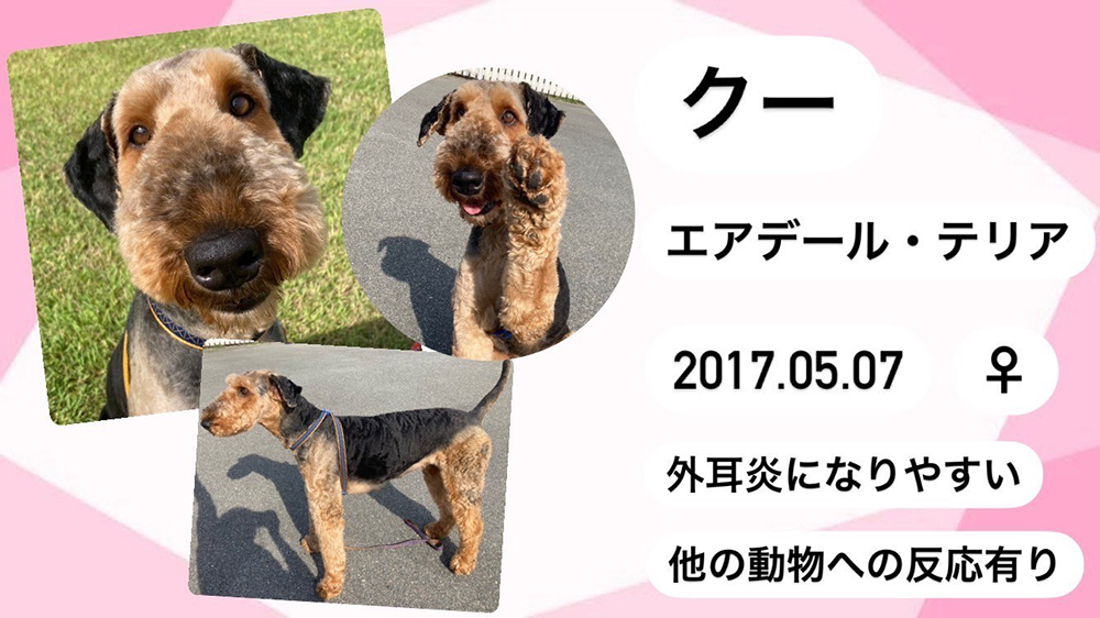 クー1