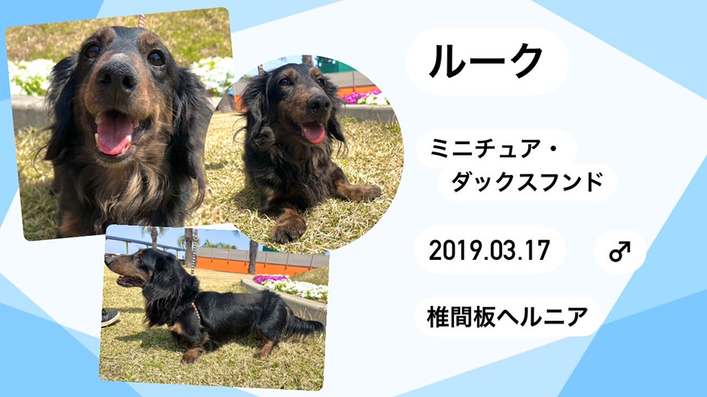 ルーク