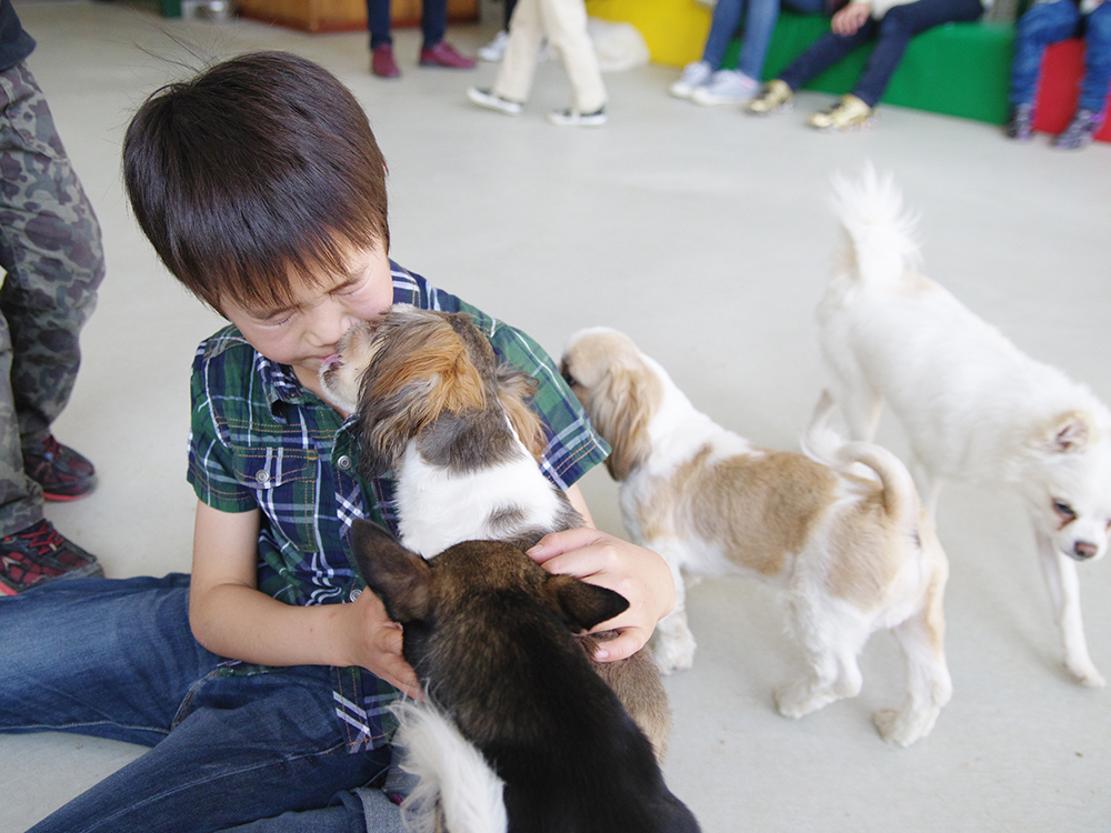 犬とのふれあい体験