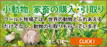 動物・ペットの引取り