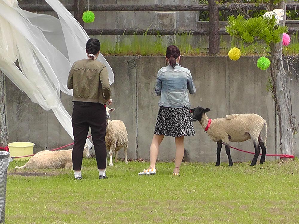 動物たちとガーデンウェディング