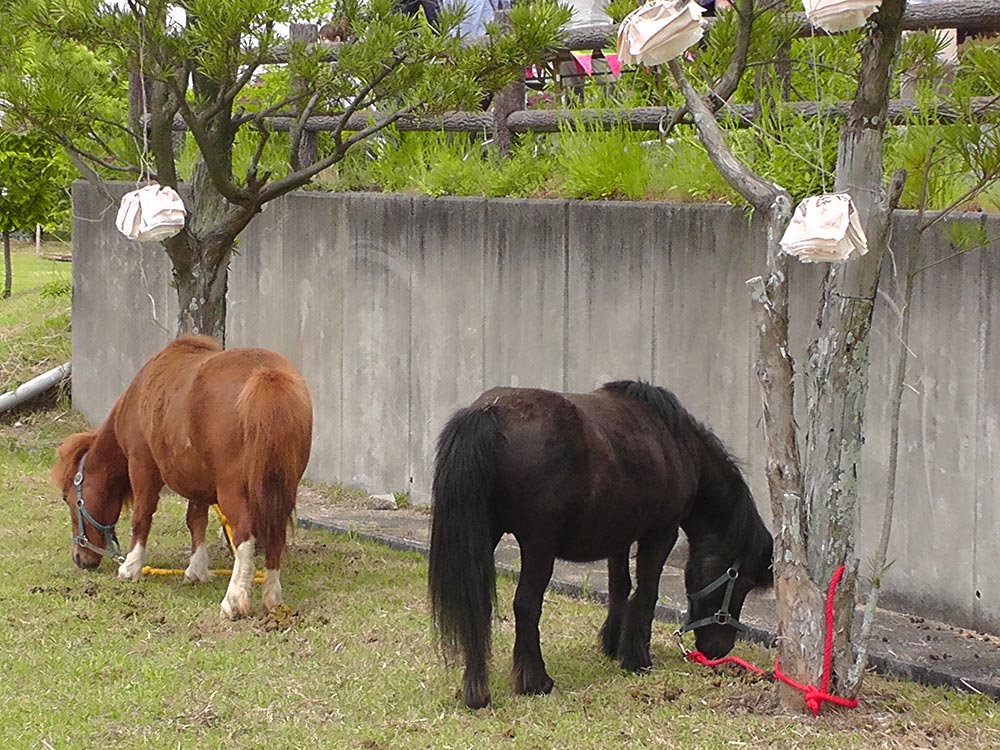 動物たちとガーデンウェディング