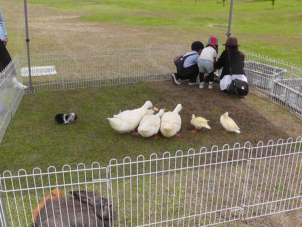 動物たちとガーデンウェディング