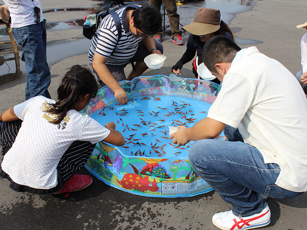 金魚すくい大会を開催