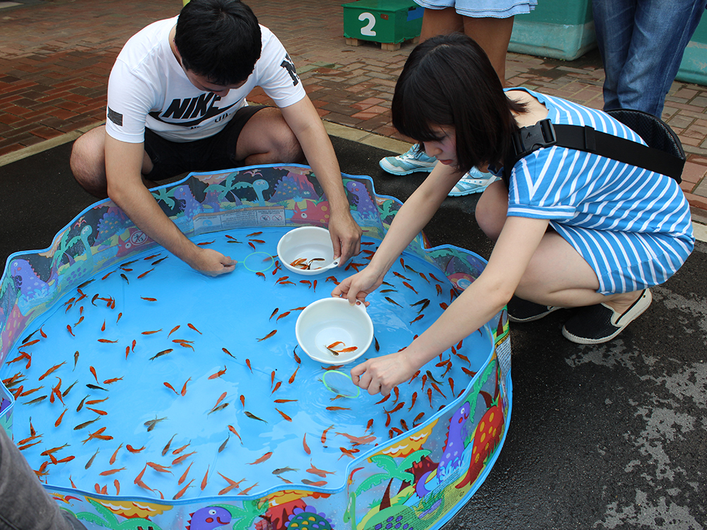 金魚をすくってかき氷を食べよう！夏休み限定「金魚すくい大会」