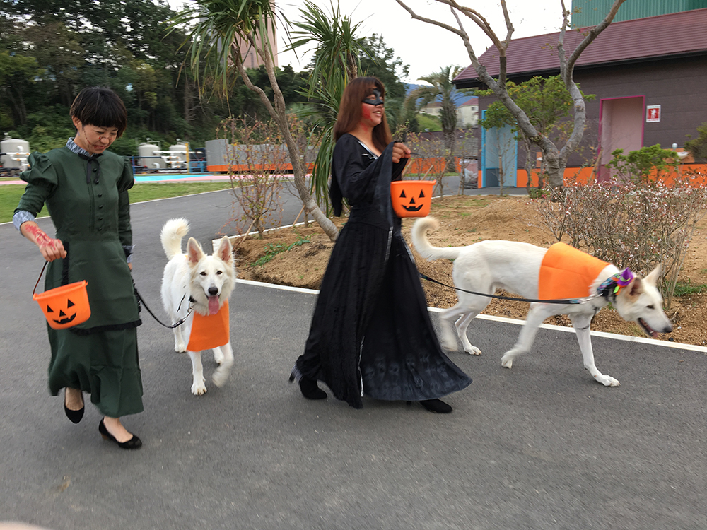 ハロウィン～Happy Halloween～イベント実施中