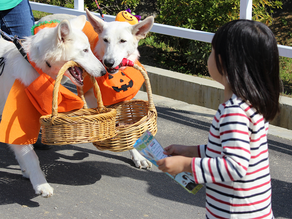 ハロウィン～Happy Halloween～イベント実施中