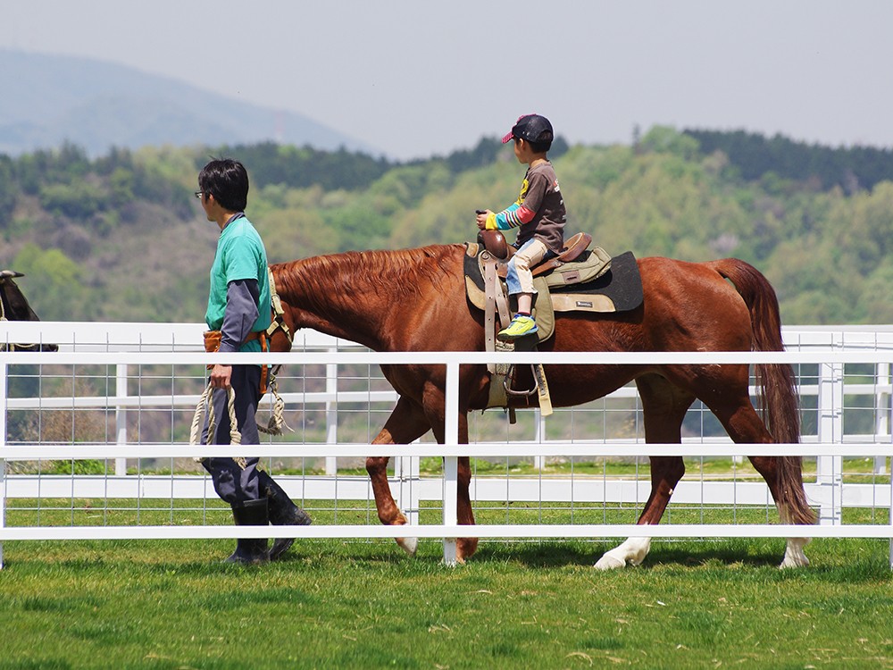 曳き馬(初心者やお子様でも楽しめる体験乗馬)