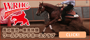 馬・乗用馬・ミニチュアホース・ポニーの販売はワールドランチホースクラブ