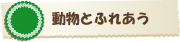 動物とふれあう