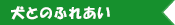 牧場の動物とふれあう