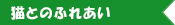 牧場の動物とふれあう