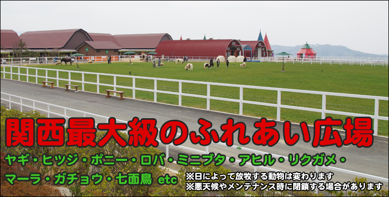 牧場 ワールド ワールド牧場（南河内郡河南町白木）の口コミ18件｜エキテン