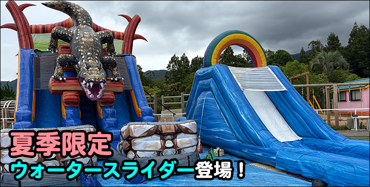 ウォータースライダー登場