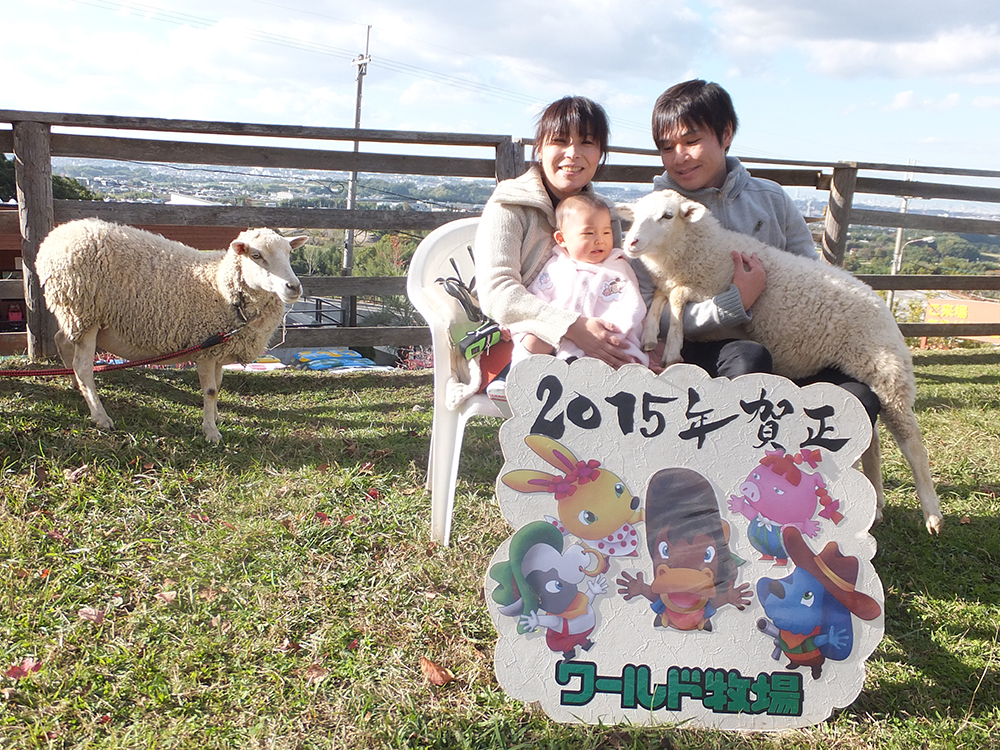 ヒツジとの撮影会（2015年賀状用）イベント開催