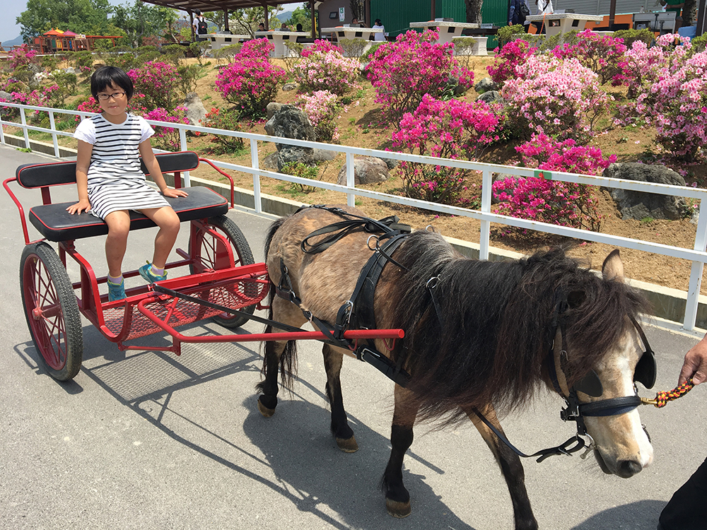 ポニーカート乗車体験開始