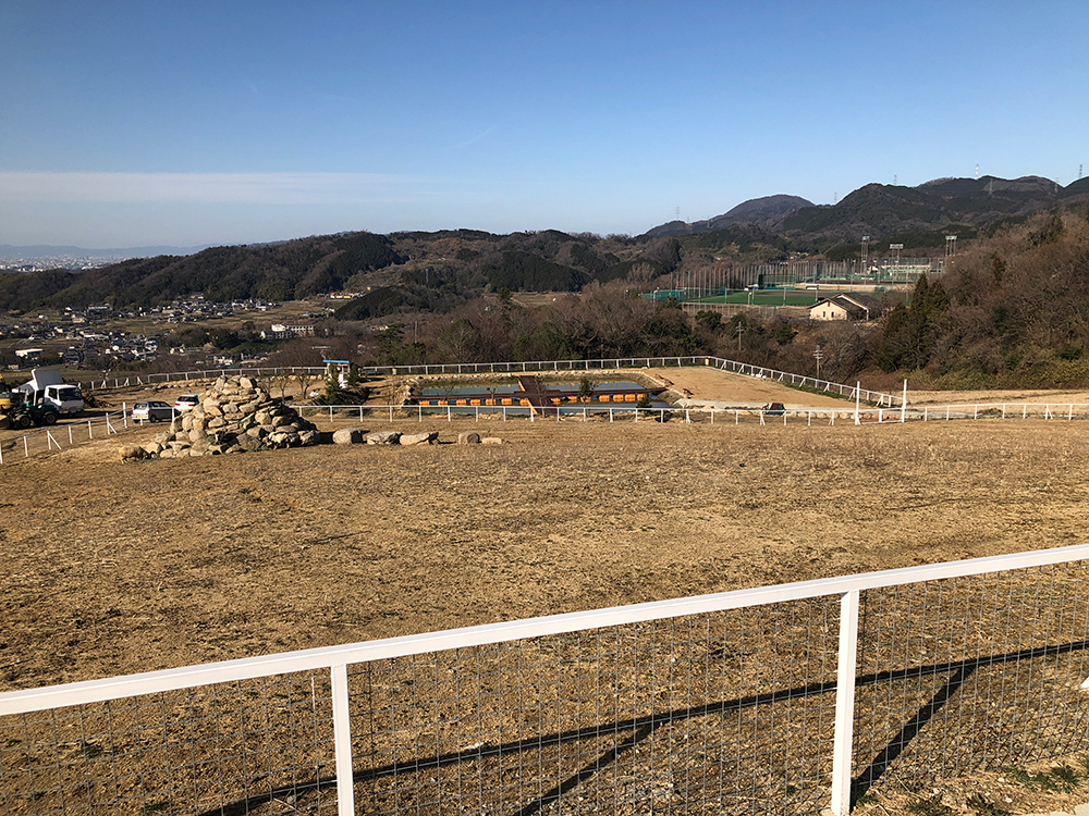 鯉の釣り堀