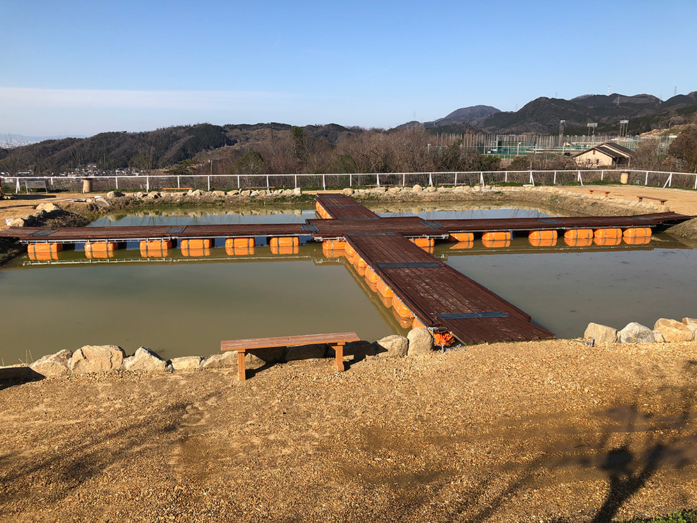 鯉の釣り堀