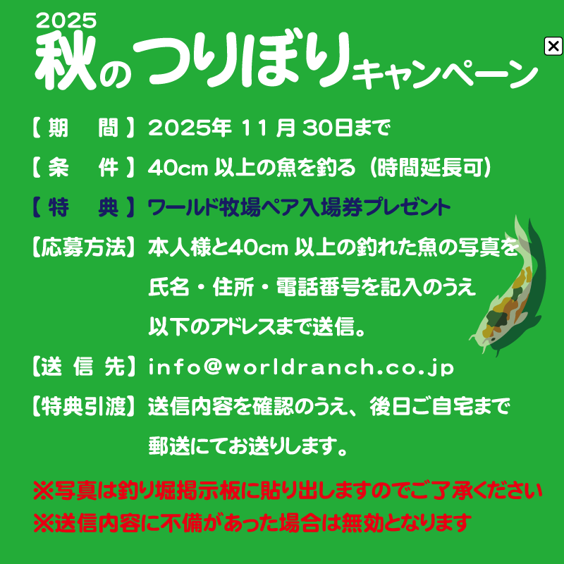 秋のつりぼりキャンペーン