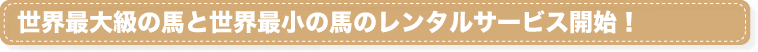 世界最大級の馬と世界最小の馬のレンタルサービス開始！