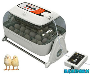 小型自動孵卵器　キングスロ20（鶏卵24個用）の販売
