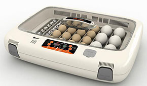 小型自動孵卵器　ビッグママ50（鶏卵48個用）の販売