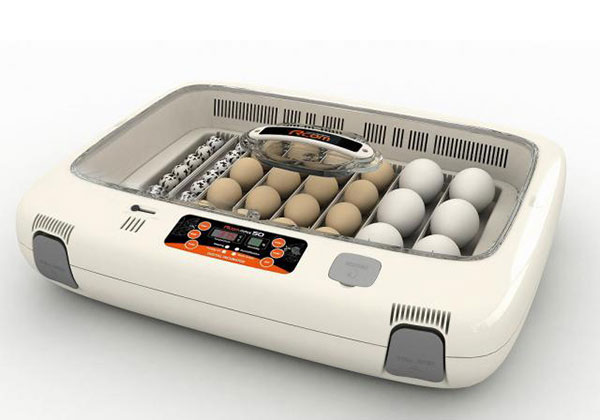 小型自動孵卵器　ビッグママ50（鶏卵48個用）の販売