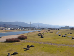 石川河川公園