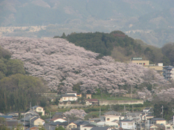 滝谷公園