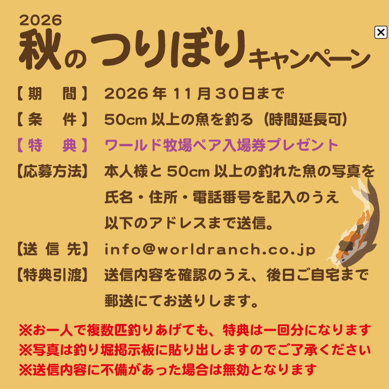 秋のつりぼりキャンペーン